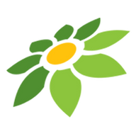 MIYABISLOT